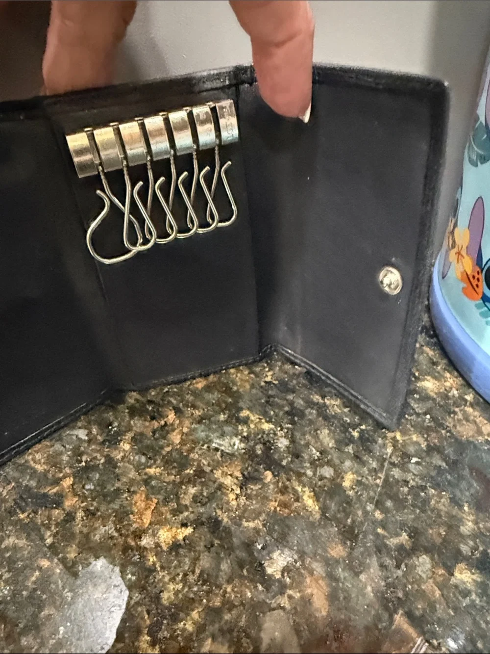 Loewe Key Card Holder EUC